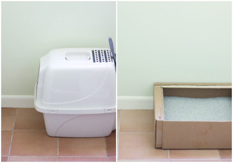 Tidy Cats Direct Monthly Litter Box Service