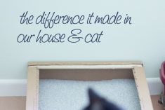 Pinterest Hidden Image