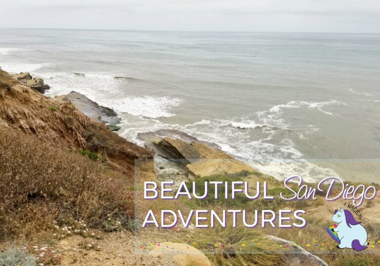 San Diego Adventures - Four Strangers and a Kia