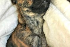 Pinterest Hidden Image