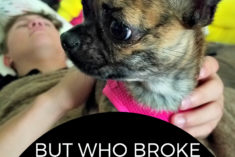 Pinterest Hidden Image