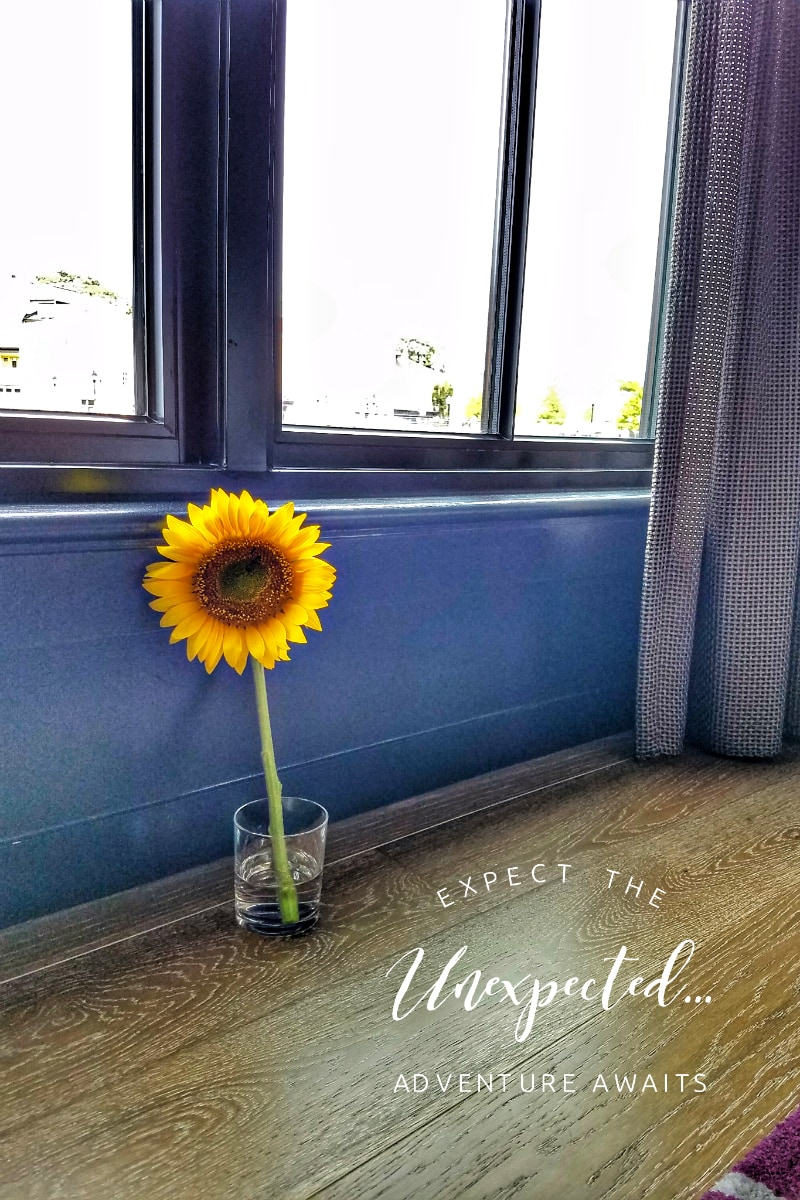 Pinterest Hidden Image