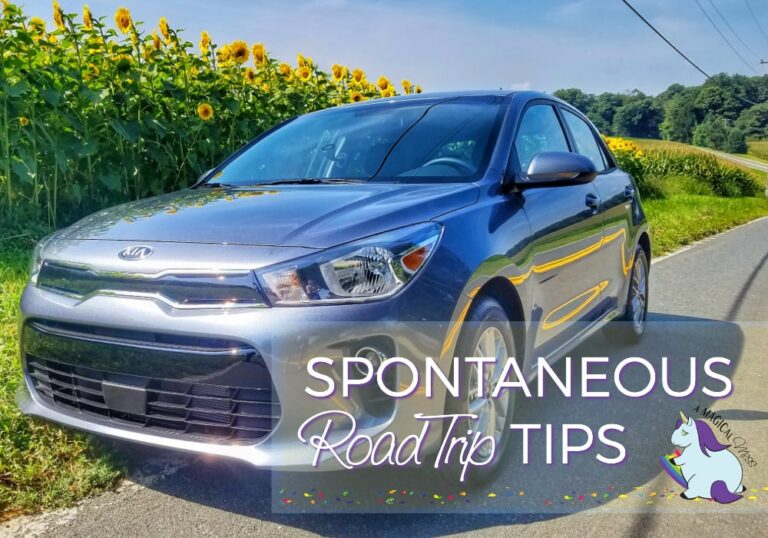 2 Bloggers Bond Behind the Wheel on Spontaneous Road Trip
