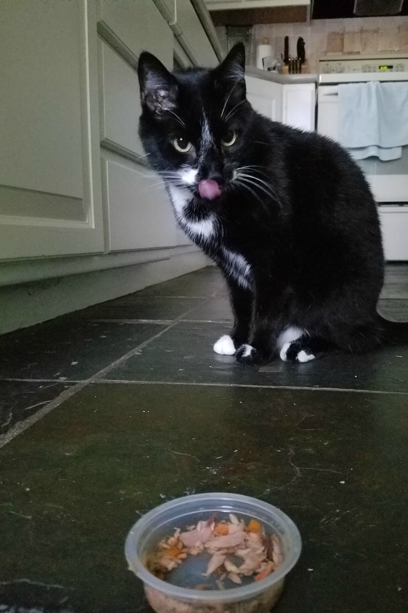 Super Easy Space Saving DIY Wet Cat Food Storage Hanger #MeowMixatMeijer #CollectiveBias AD
