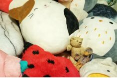 Pinterest Hidden Image