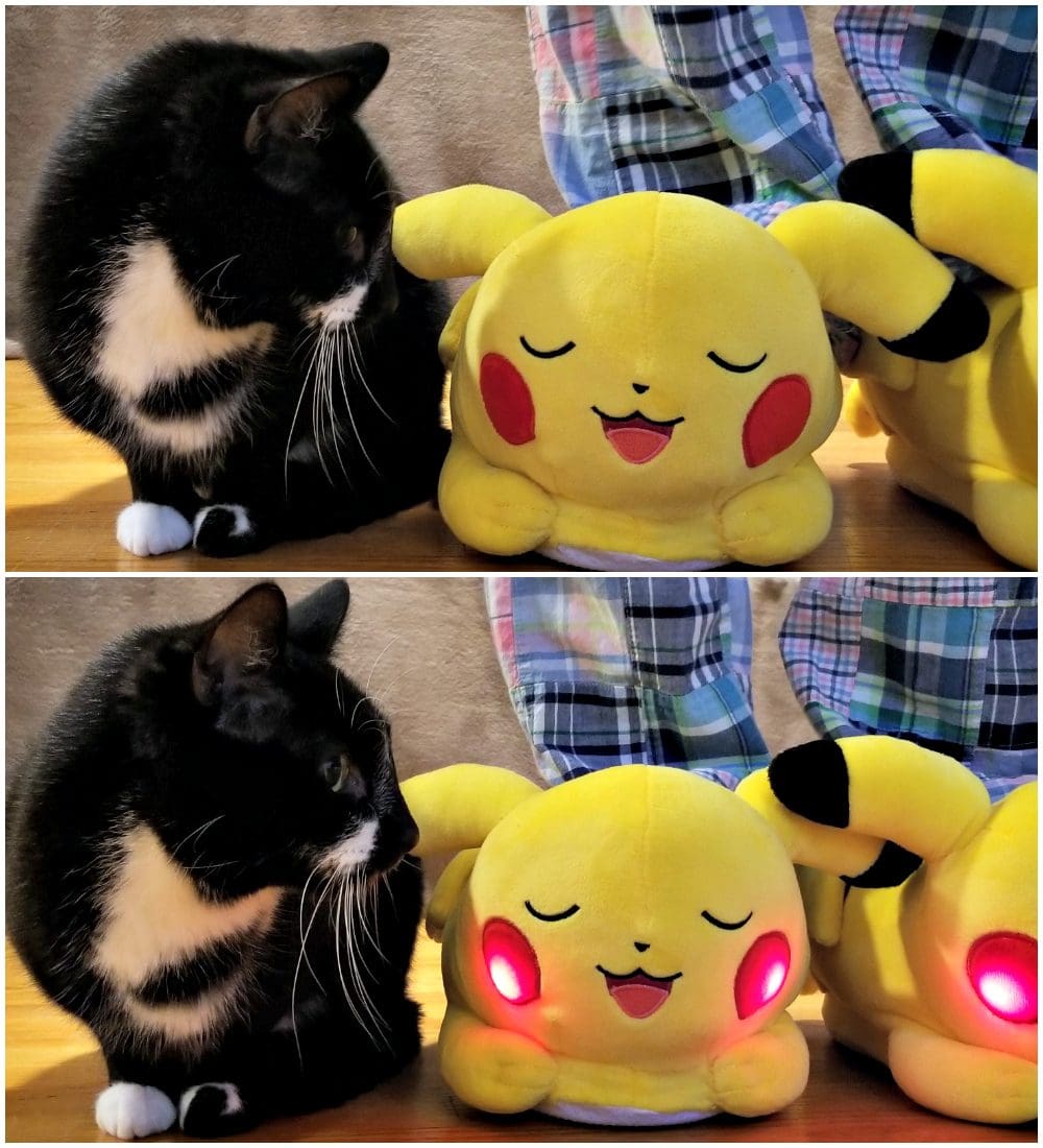 Stewing checking out the Pikachu slippers. 