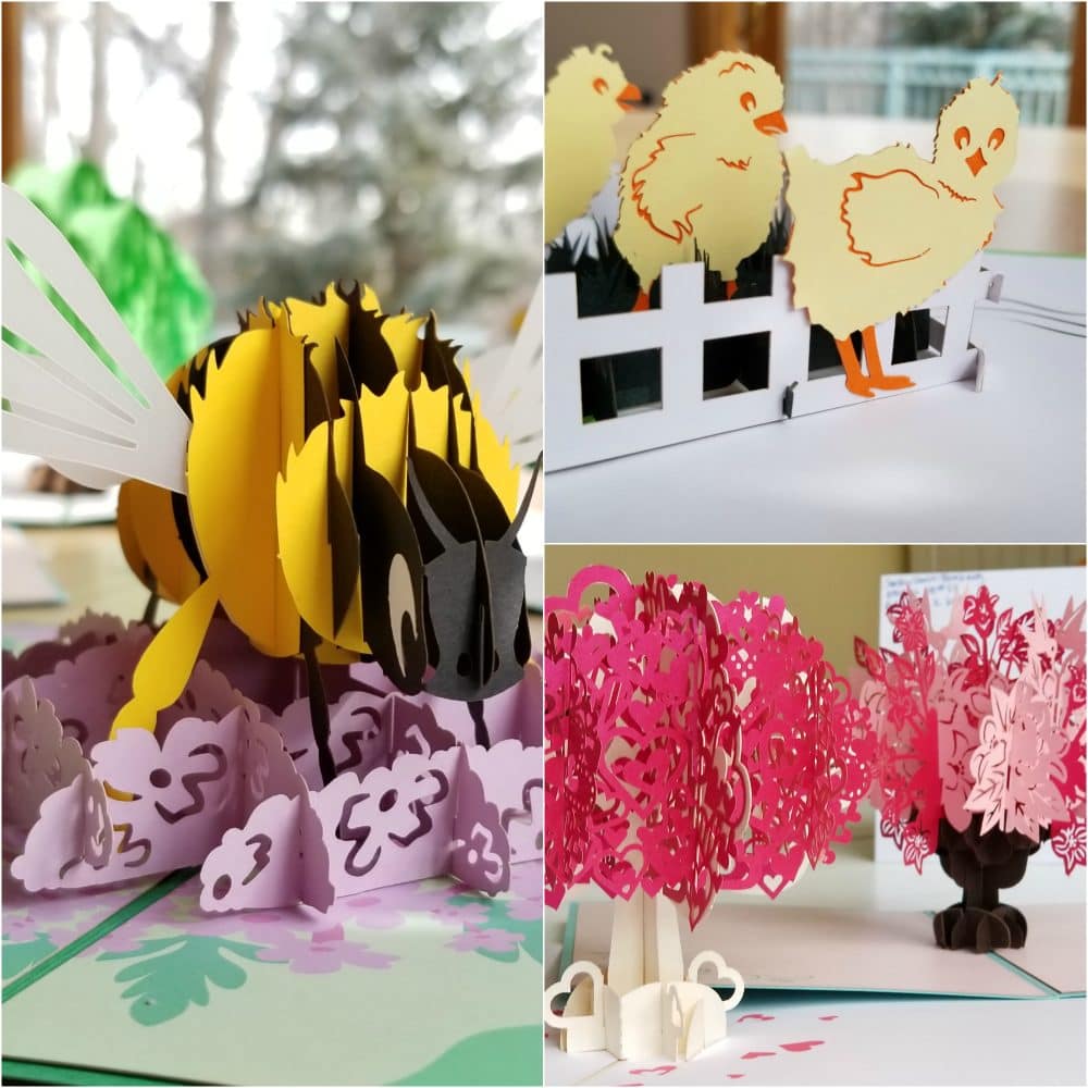 Smile-Inducing 3D Cards for Every Occasion