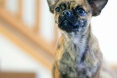 Pinterest Hidden Image