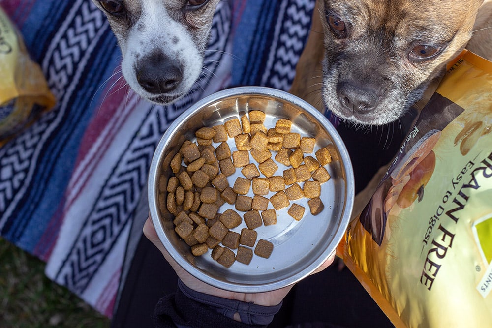 Fuel the Wag with Nature's Recipe