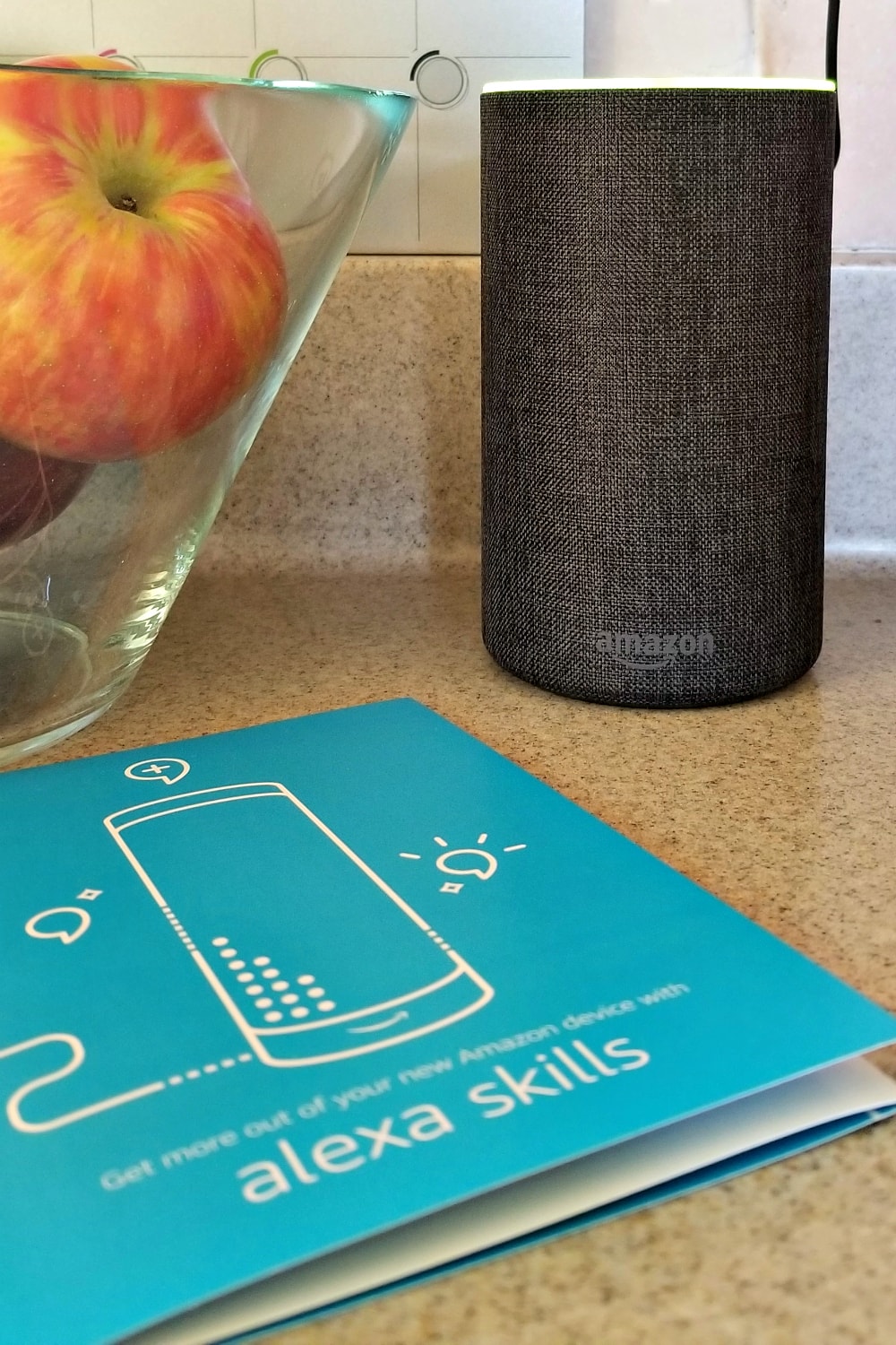 Helpful Ways to Use Alexa Skill Blueprints | A Magical Mess