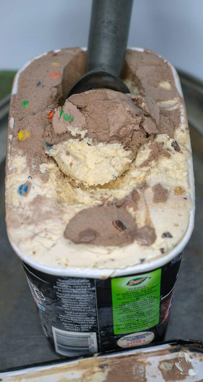 Best Ice Cream Brands for Candy Lovers and How to Earn Rewards