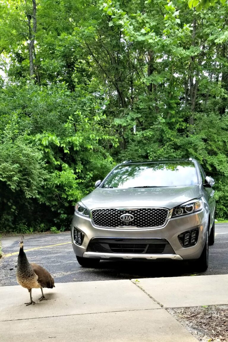 17 Irresistible Features in the 2018 Kia Sorento #KiaFamily #KiaSorento #KiaPartner