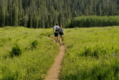 Pinterest Hidden Image