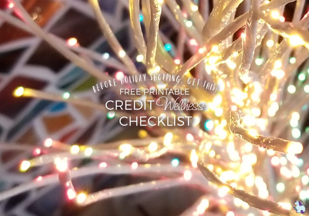 Free Printable! Credit Wellness Checklist, great for before you start holiday shopping