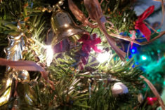 Pinterest Hidden Image