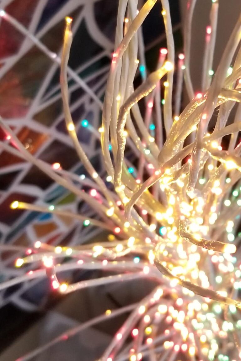 Pretty holiday lights