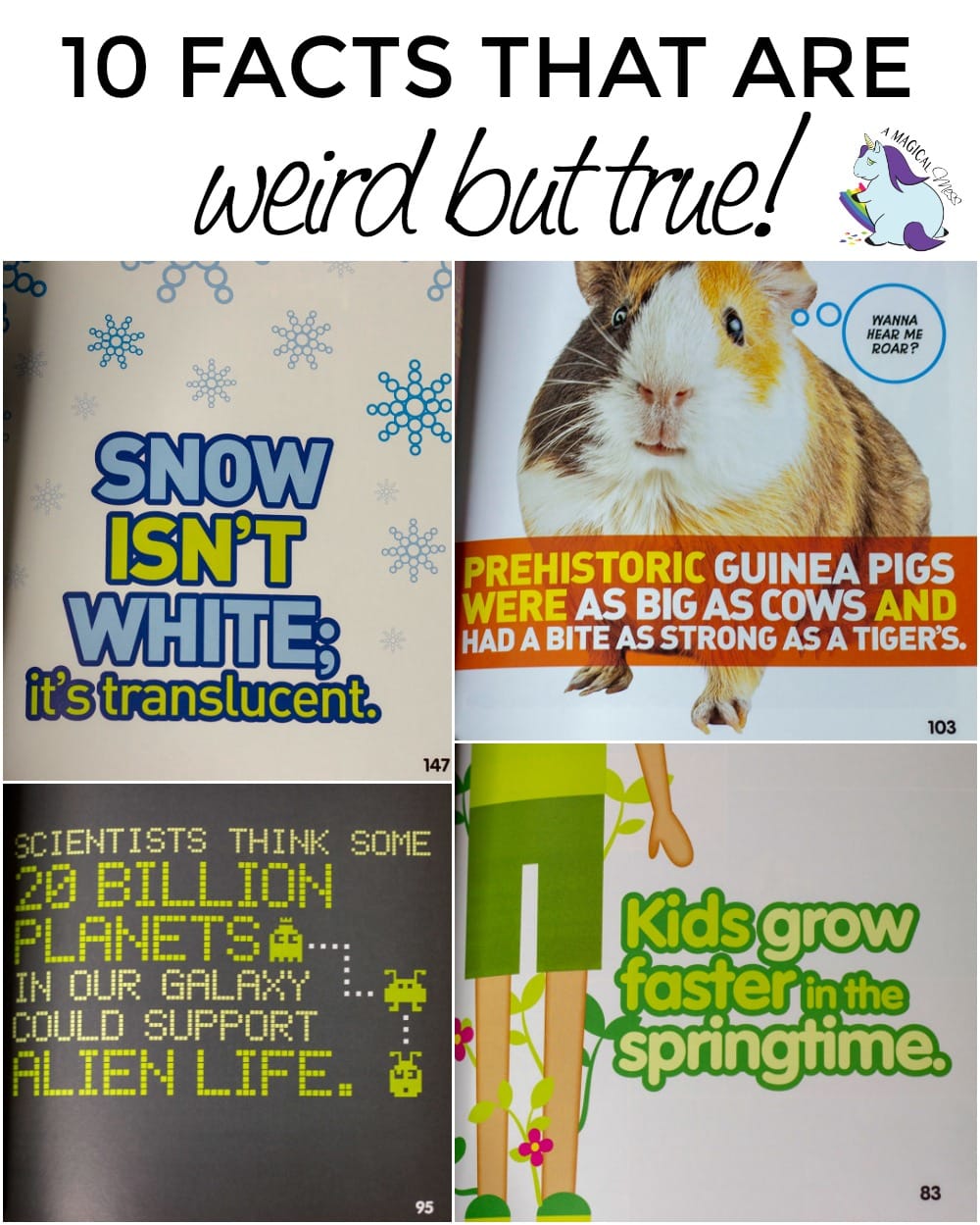 10 Weird but True Facts