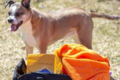 Pinterest Hidden Image