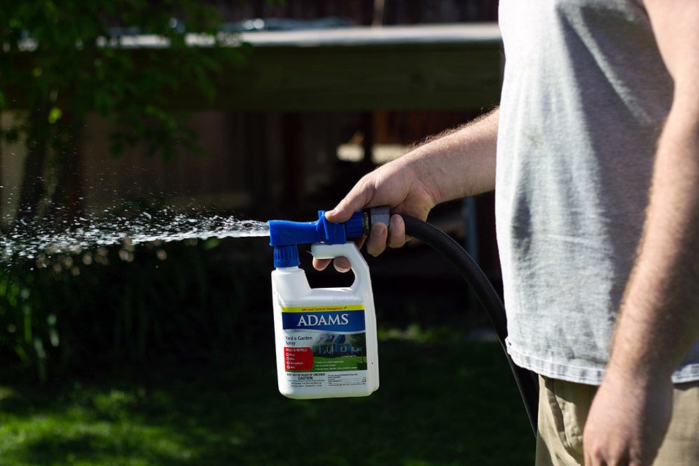 A man spraying Adams Yard Spray in the yard. 