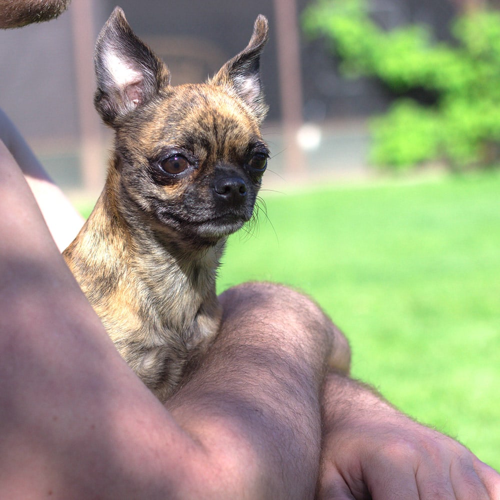 Holding the Little Bits outside.