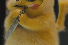 Pinterest Hidden Image