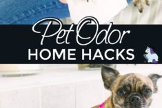 Pinterest Hidden Image