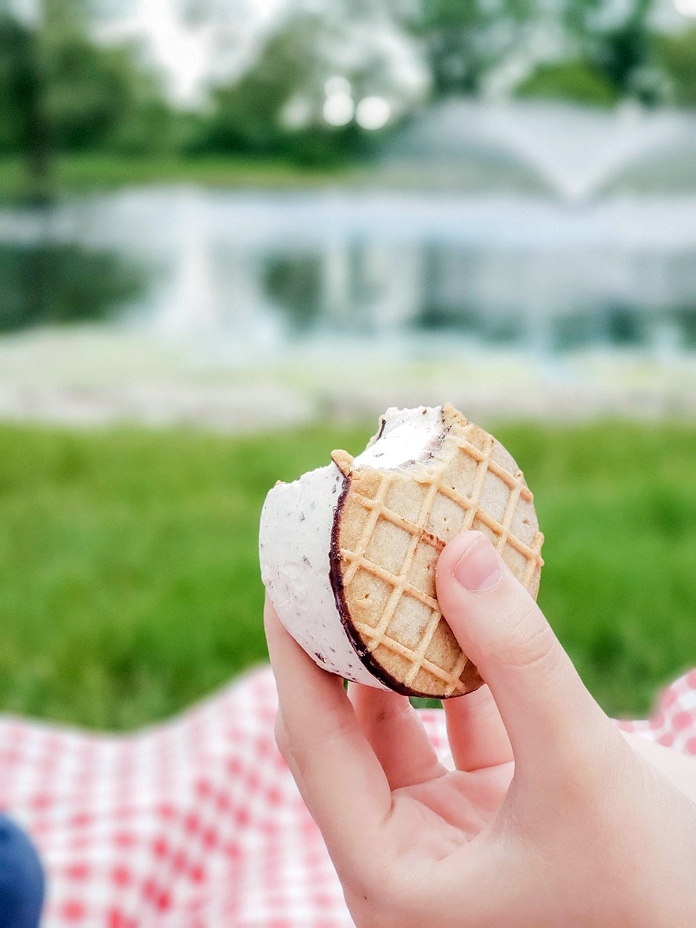 Mint Chocolate Chip Tillamookie with a bite taken out of it.