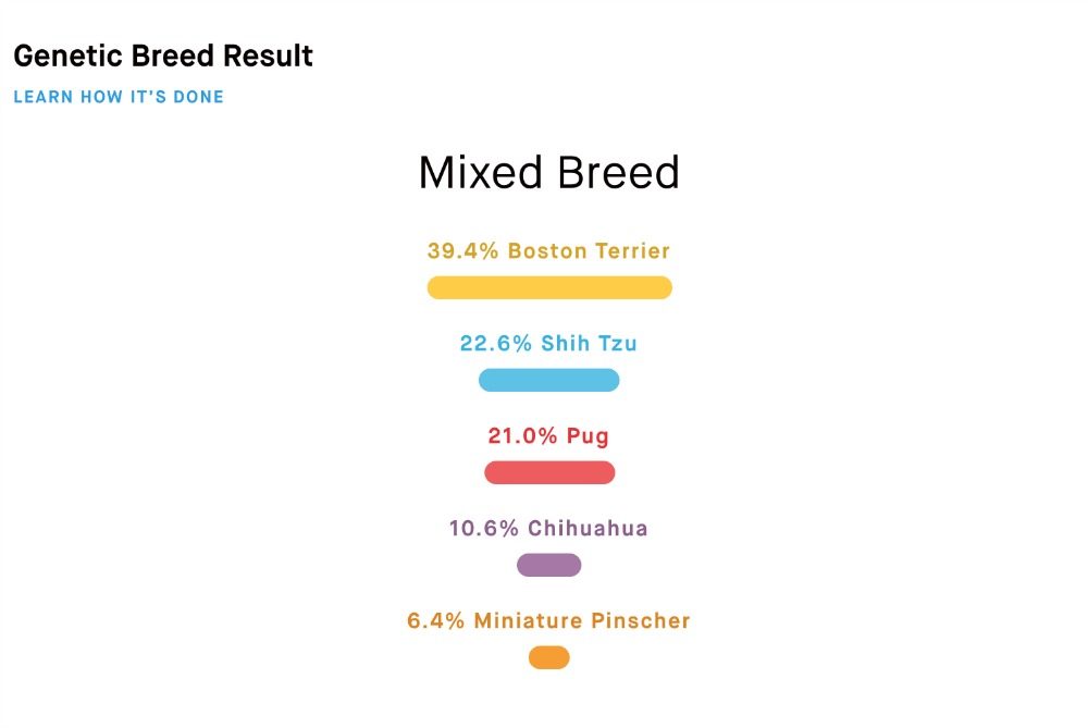 Screenshot of Embark Vet dog DNA test results.