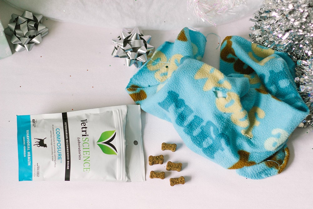 Composure chews on a table with bows, silver trees, and a blue dog blanket.