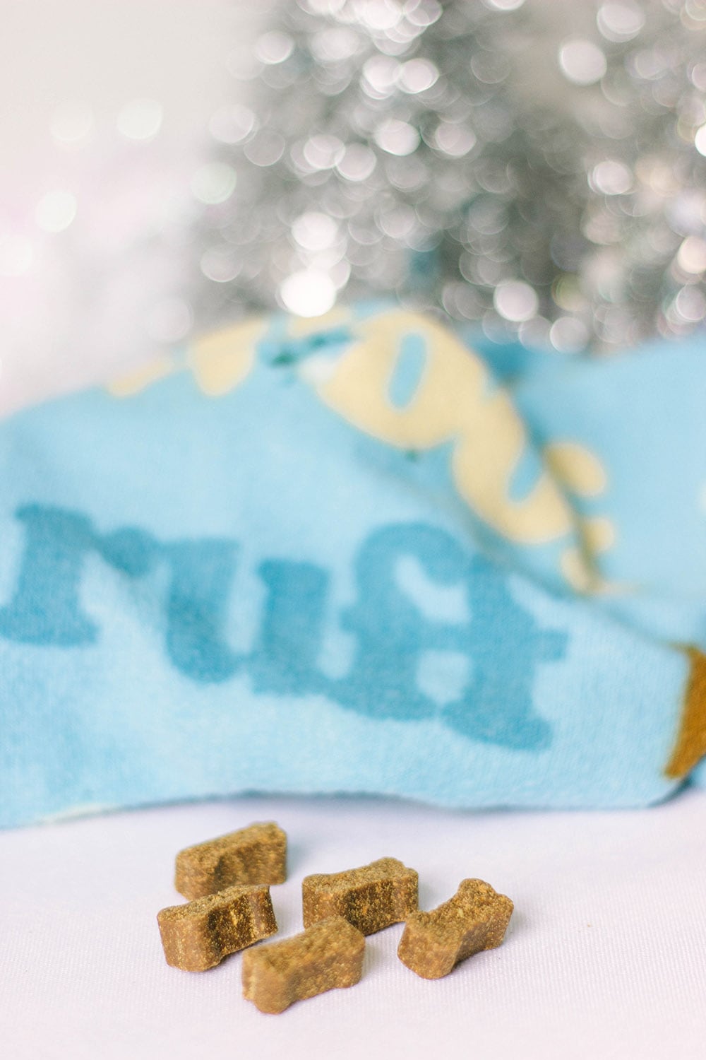 Puppy blanket and treats.