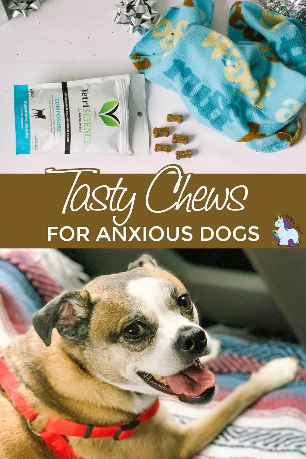 Composure chews and a calm dog.