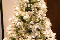 Pinterest Hidden Image