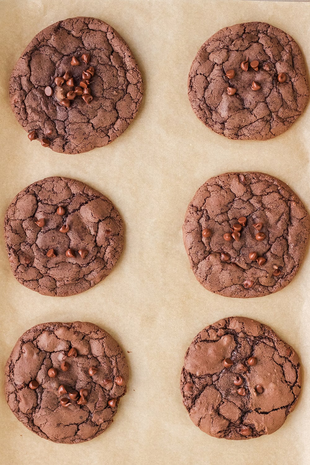 Baked brownie mix cookies on a cookie sheet. 