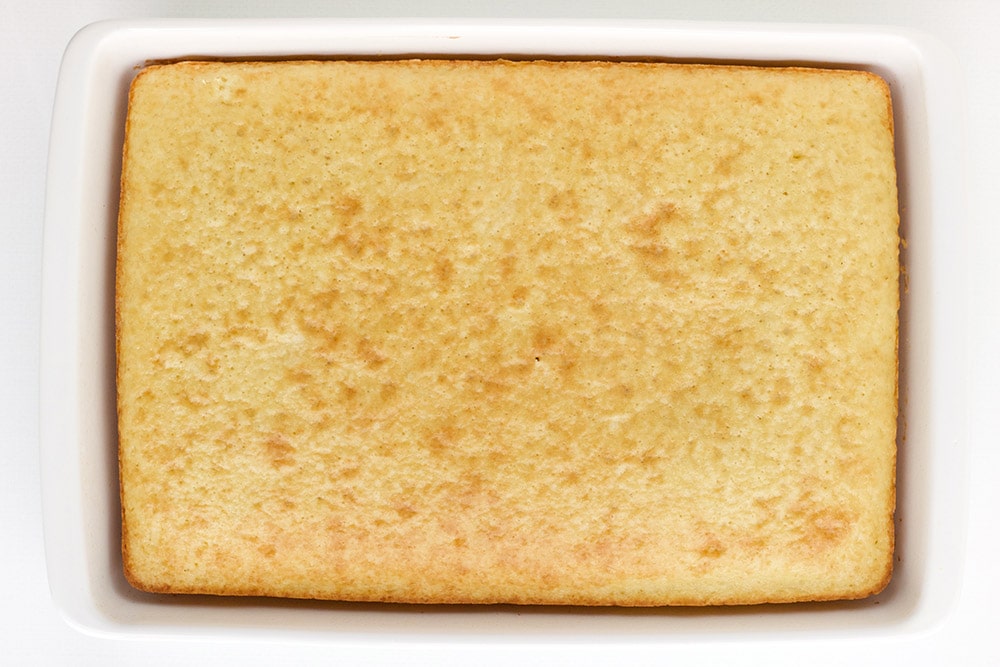 Plain cake in a pan.