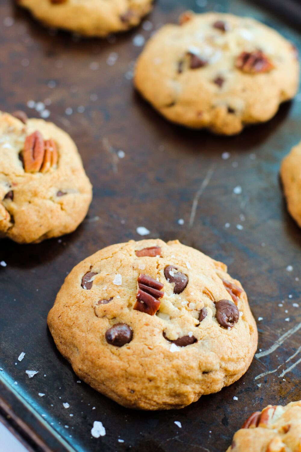 Baked pecan cookies on a baking sheet.