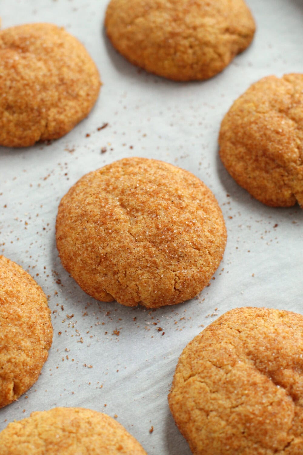 Baked brown butter pumpkin cookies on a sheet. 