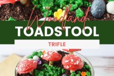 Pinterest Hidden Image