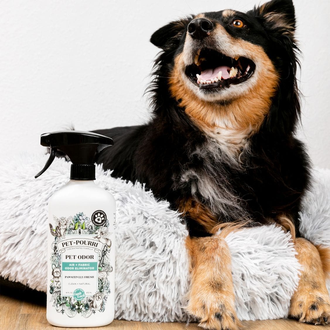 Pet~Pourri Pawsitively Fresh