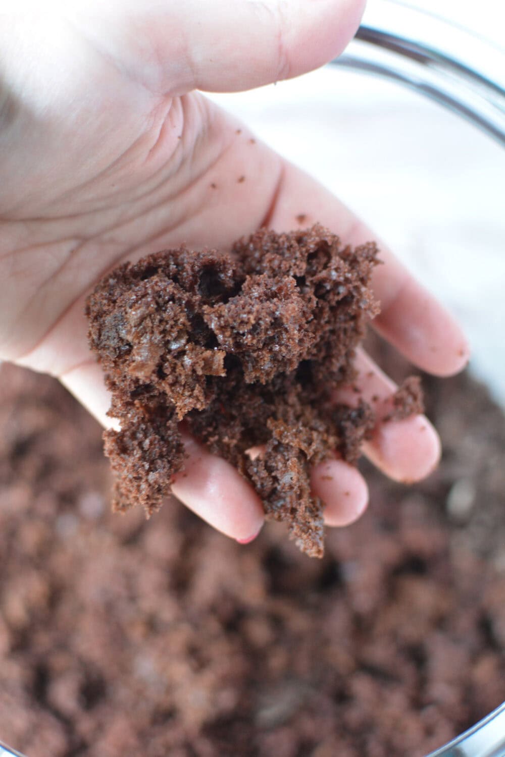 Hand holding crumbled cake