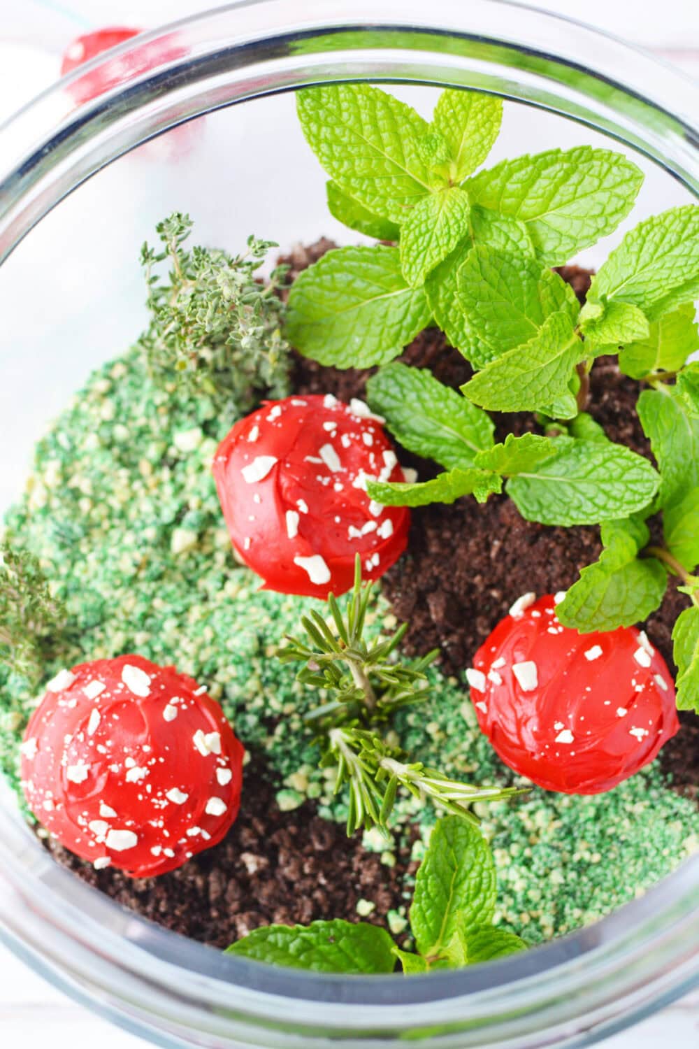 Mushrooms and fresh herbs in a glass jar with layers of edible dirt
