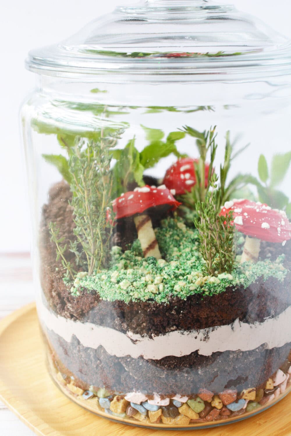 Layered edible terrarium inside of a glass jar with a lid.