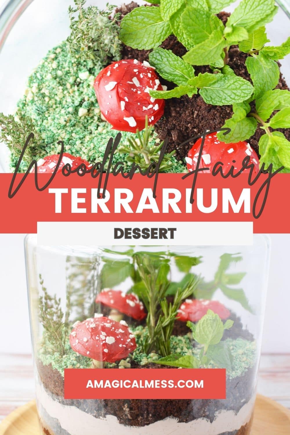 A glass container with edible plants and mushrooms.