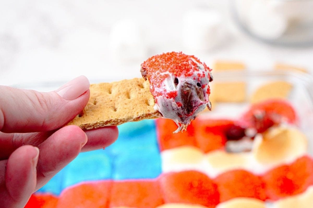 holding a graham cracker dipped in smores dip