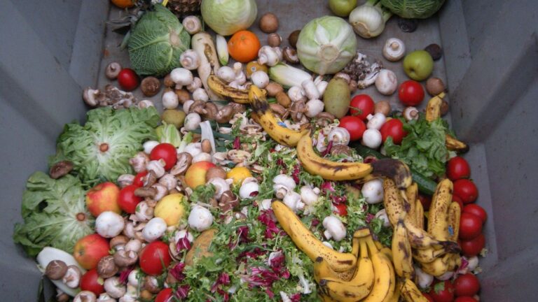 Which Nations Waste the Most Food, According to UN Data