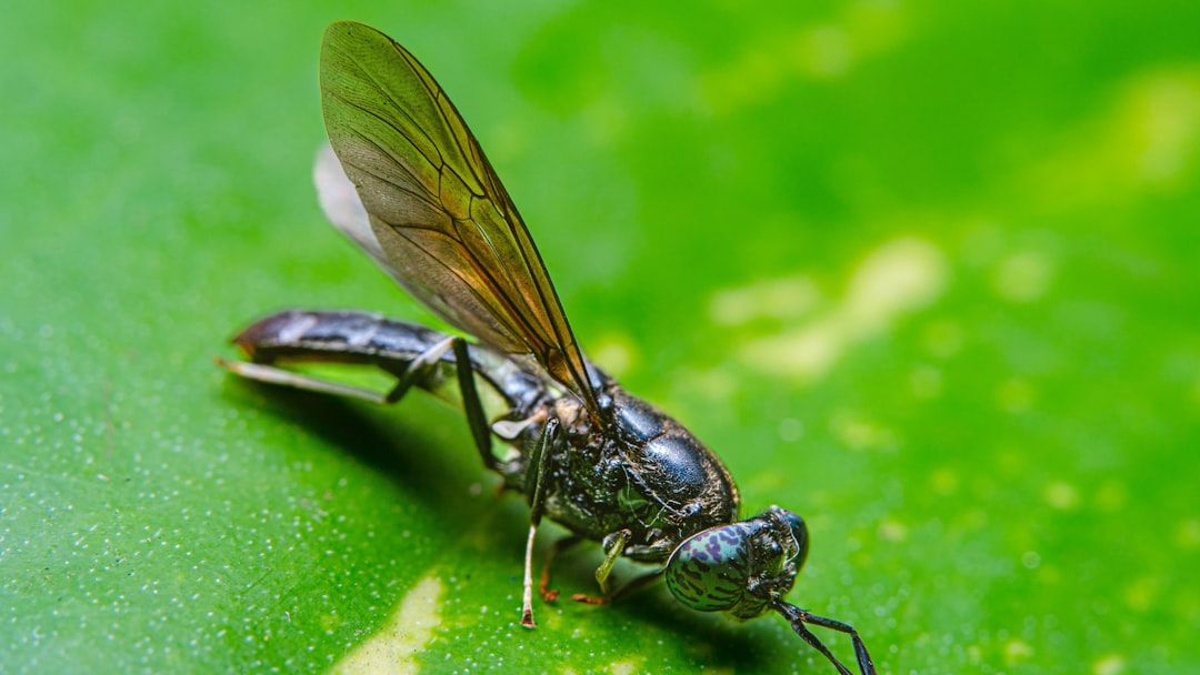 Why Some Countries Are Turning Toward Insect Protein, Report Finds