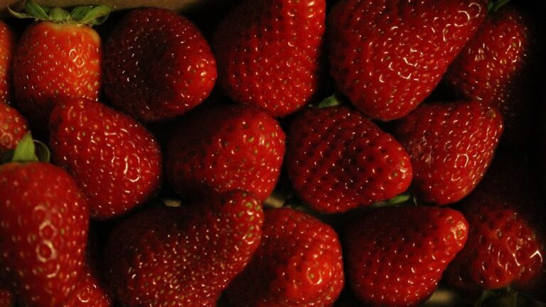 The Healthiest Fruits Ranked From Least to Most Nutritious
