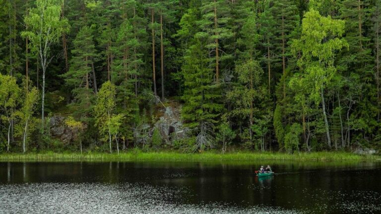 5 Countries With Cleanliness Levels Above the U.S., Surveys Say