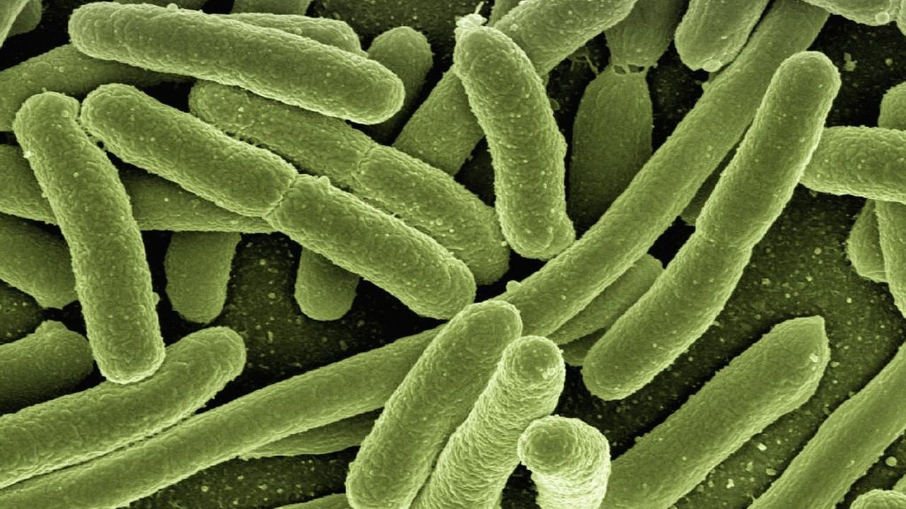 10 Leftovers Scientists Warn Can Turn Unsafe Overnight