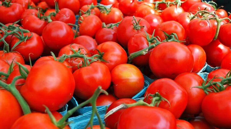 6 Popular Foods You Should Avoid Refrigerating - Though Many Still Do