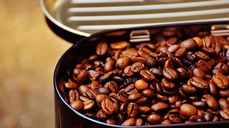The Science Behind "Shrinkflation": Visual Evidence Your Favorite Snacks Are Shrinking